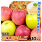 りんご 加工用 青森産 10kg