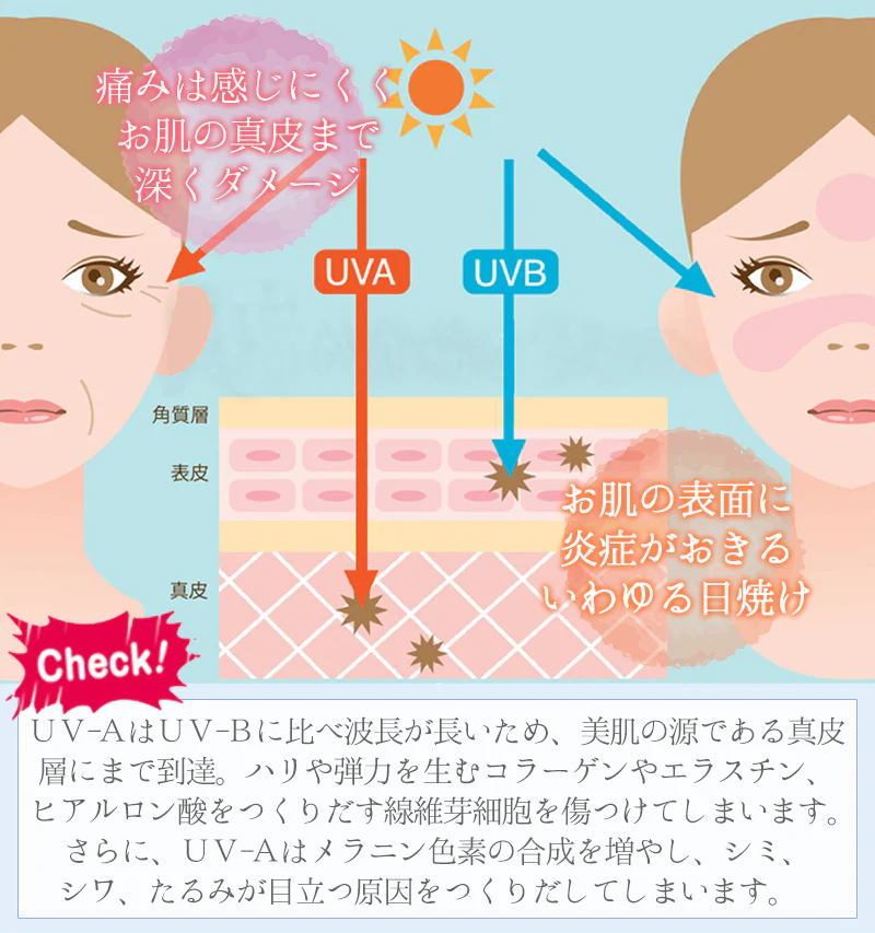【ホワイトリッチピュア】飲む日焼け止め 日焼け止め サプリ 1日1粒として2ヶ月分 紫外線 理子ピン セラミド UVケア 飲んで高める美肌力！プラスアルファ スキンケア 飲むお出かけ対策 お肌のバリア 美肌ライフ UVケア 日焼け止め UVカット 紫外線対策 紫外線カット 飲む UVケア UVカットサプリ