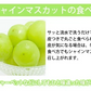 シャインマスカット ぶどう 送料無料 1kg 2〜3房 九州産 マスカット 葡萄 ブドウ