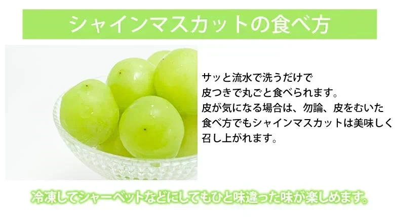 シャインマスカット ぶどう 送料無料 1kg 2〜3房 九州産 マスカット 葡萄 ブドウ