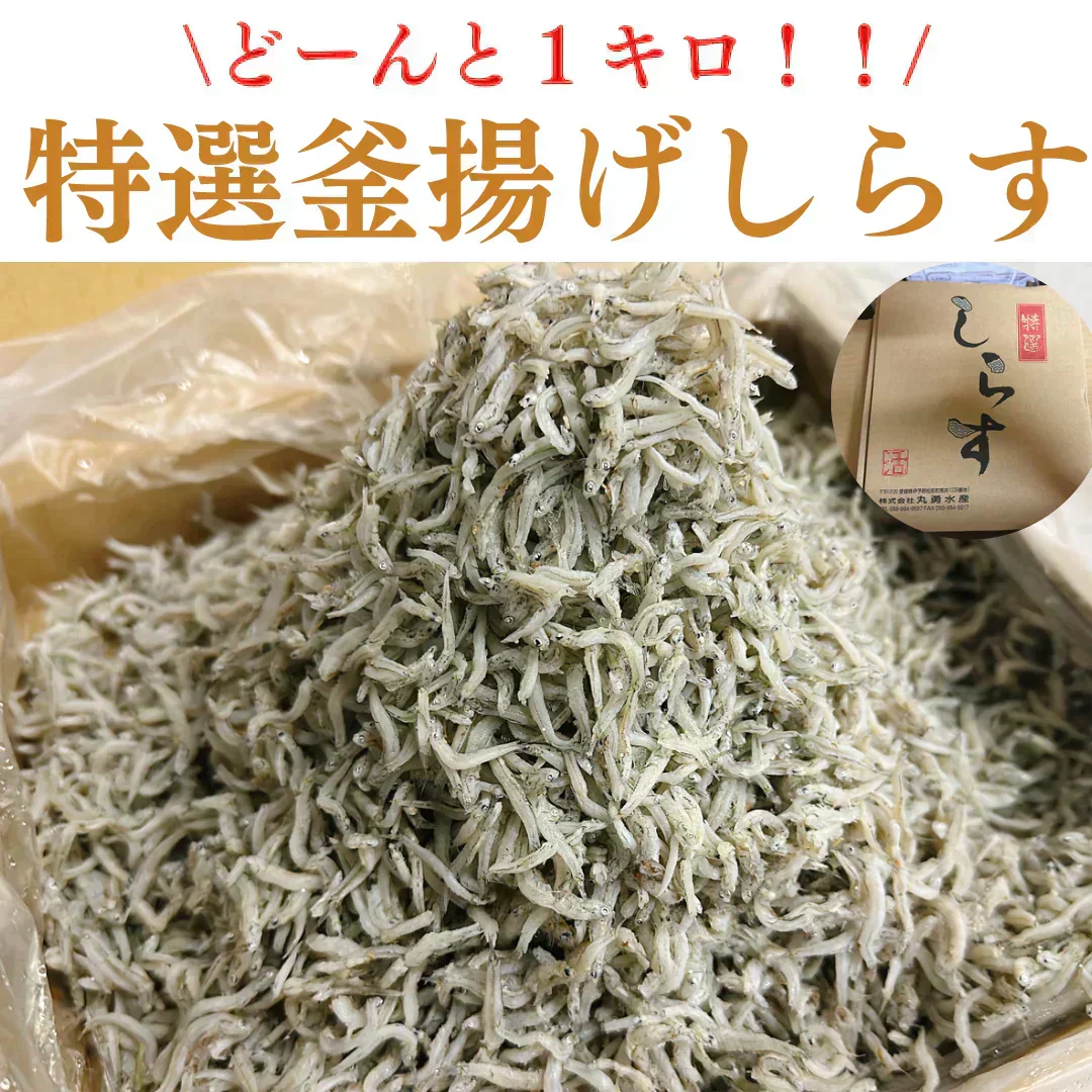 【数量限定特価！】特選 釜揚げしらす 1kg 特大サイズ  [冷凍]/冷凍クール便