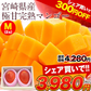 宮崎県産 完熟マンゴー マンゴー 2玉 化粧箱入り (Mサイズ:約240g～約309g) 送料無料 健康 ギフト プレゼント フルーツ 食べ物 贈答 旬の果物 贈答用