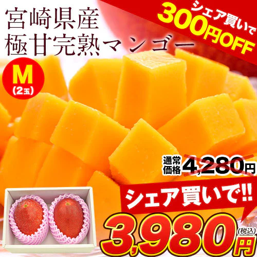 宮崎県産 完熟マンゴー マンゴー 2玉 化粧箱入り (Mサイズ:約240g～約309g) 送料無料 健康 ギフト プレゼント フルーツ 食べ物 贈答 旬の果物 贈答用