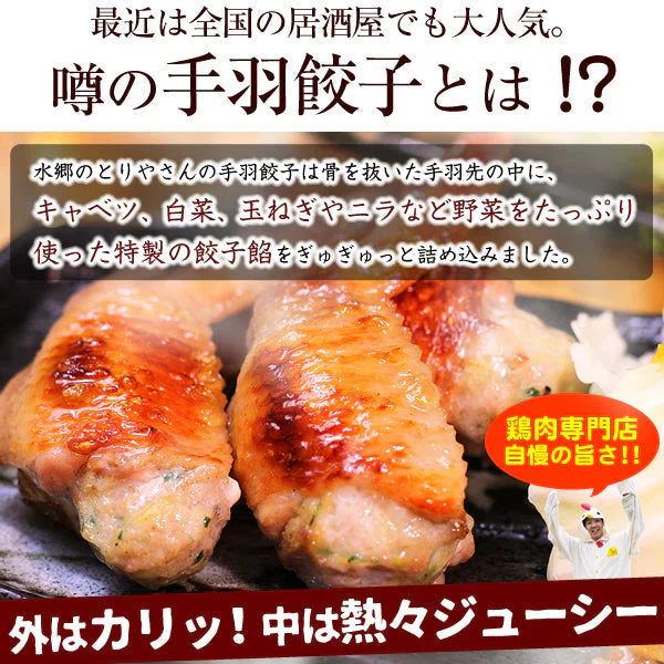 【超シェア買い祭】8秒に1本売れてる！手羽先餃子20本セット