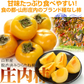 庄内柿 5kg 山形産 ご家庭用