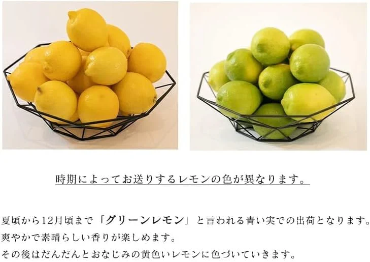 [みさわのやさい]  国産 レモン  訳あり 1kg 皮まで食べられる ノーワックス 防腐剤 防カビ剤 不使用