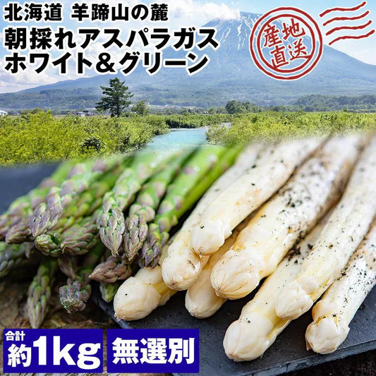 ホワイトアスパラガス 北海道 朝採れ 1kg 食べ比べ ホワイトアスパラ 500g グリーンアスパラ 500g 羊蹄山 産地直送 冷蔵便 同梱不可 指定日不可 産直