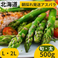 500g【朝採順次発送中】北海道産アスパラガス500g グリーンアスパラ アスパラ