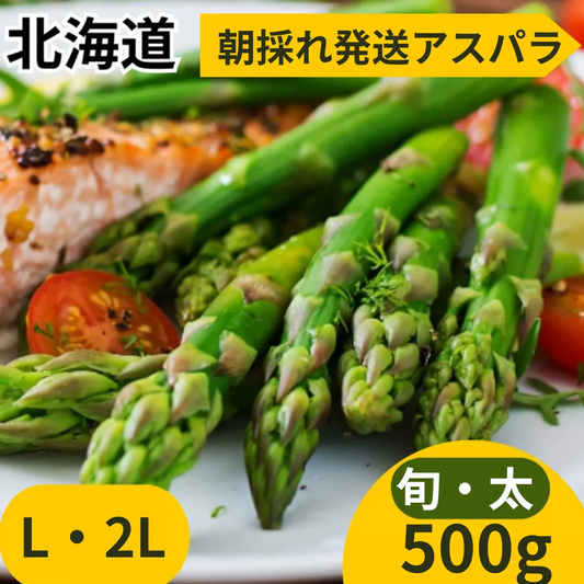 500g【朝採順次発送中】北海道産アスパラガス500g グリーンアスパラ アスパラ