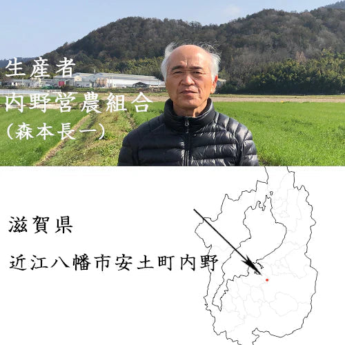 新米 食べ比べ 白米18kg(9kg×2) 滋賀県近江八幡産 コシヒカリ キヌヒカリ 令和6年産 内野営農組合 環境こだわり農産物