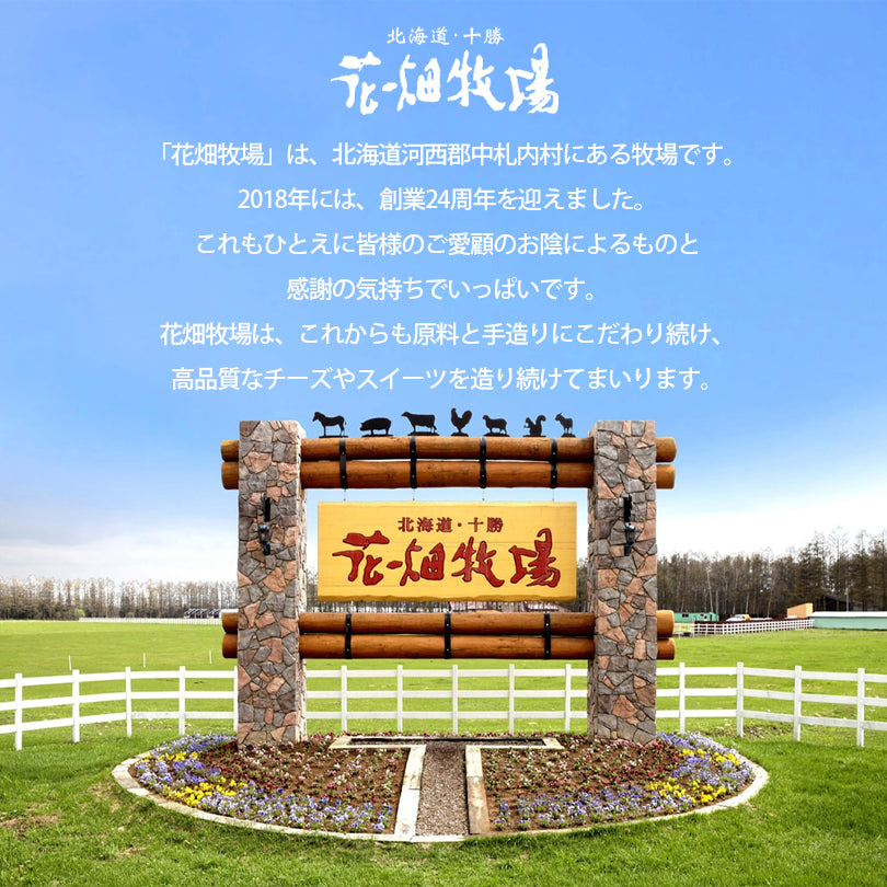 花畑牧場 生キャラメル ドライプレーン 64g 送料無料 北海道産 スイーツ 手造り とろける プレゼント 贈り物 お土産 手土産 ギフト バレンタイン