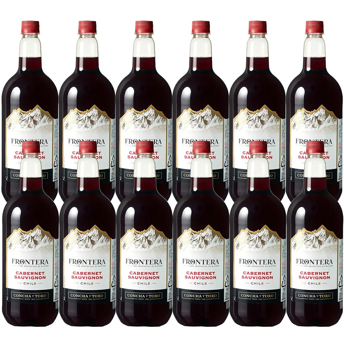 【送料無料】コンチャ・イ・トロ フロンテラカベルネ・ソーヴィニヨン 1500ml 1.5L×12本【北海道・沖縄県・東北・四国・九州地方は必ず送料が掛かります】