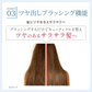 育毛美顔器イオンプルレ ヘアーブースター ems 電気針ヘッドスパブラシ 頭皮マッサージブラシ 女性用 育毛剤導入器 頭皮ems 高周波（RF）