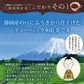 日本橋いなば園 静岡和紅茶 個包装ティーバッグ 25個 ネコポス メール便送料無料 ティーバッグ個包装タイプ 静岡茶 お礼 お茶 ティー ティーパック 贈物 引越し