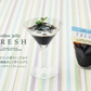 【4個入り！】ガトーフェスタハラダ コーヒーゼリー フレッシュ 数量限定 (コーヒーゼリー)