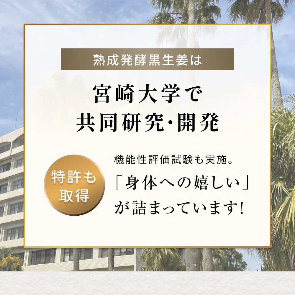 風土日和 国産 ジンジャーシロップ 無添加 熟成発酵黒生姜使用 賞味期限：2026年4月4日 | オーガライフ