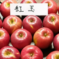 青森りんご 紅玉 訳あり 酸味が強い香りもよく生のまま食べると甘酸っぱくて濃厚な味わい 10㎏約48個 変動あり【6149】