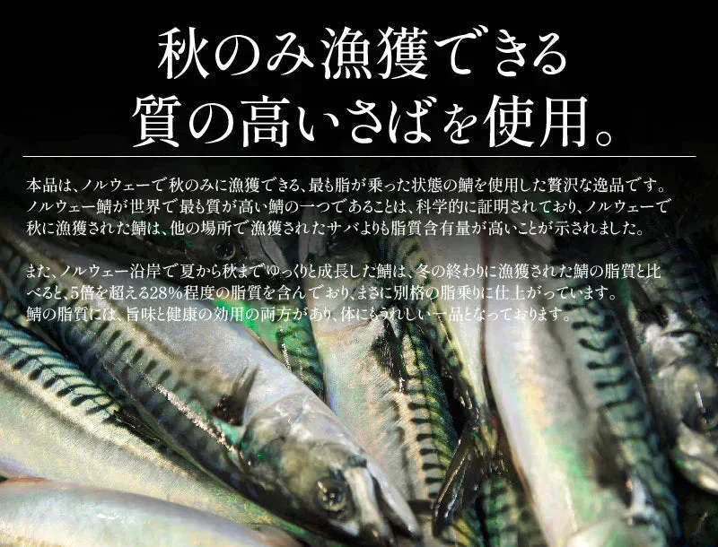 さば 無添加 無塩 トロさば サバ 鯖 約3kg(18〜24尾）トロ鯖 海鮮 天然 美味しい 魚 魚介 海産物 おかず おつまみ 乾き物 酒の肴 贈り物 お取り寄せグルメ 食べ物 おいしい 絶品