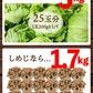 女王様のすごいねばねばスープ 12包／野菜買うより断然お得 1日の不足分６０００ｍｇネバネバ食物繊維／おいしく腸活　ぷるるん姫