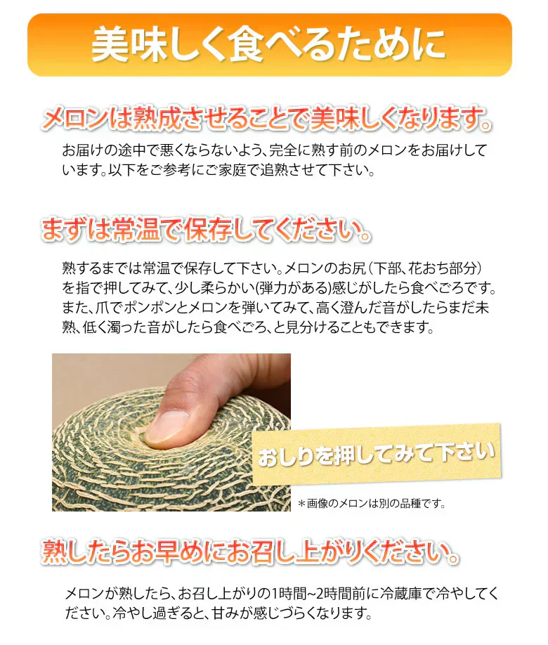 メロン 訳あり 小玉 赤肉メロン 4kg 送料無料  熊本県産 クインシーメロン フルーツ