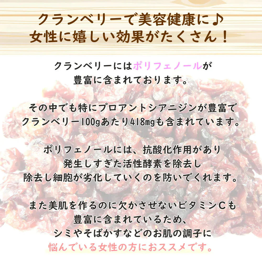 【100g】ドライクランベリー  ドライフルーツ