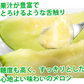 メロン 肥後グリーンメロン 送料無料 2玉 約3～4kg M～3L 熊本県産 肥後グリーン