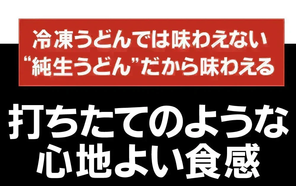 うどん 讃岐うどん 約６人前 600g (300gx2袋) つゆ付き 送料無料 本場讃岐 純生うどん 太麺 うどん お取り寄せ siawase6-tuyu