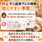 【送料無料】ダニサルWパワーシート　ワイドサイズ　【2枚セット】　　ダニ対策　メーカー直販　駆除　絶滅　退治　ダニ取り　ダニ捕り　捕獲シート　ダニよけ　寝具　布団　ベッド　押し入れ　タンス　ソファー　ヌイグルミ　カーペット　枕　マットレス　ペット　無臭