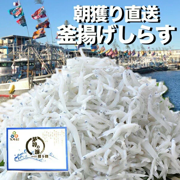 岸和田漁港より直送 釜揚げしらす 1kg（250g×4P）