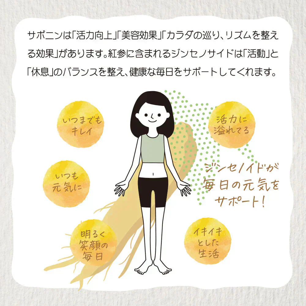 【美容成分たっぷり】フルーツ高麗人参60g(3g×20包) 高麗人参 6年根 ｴｷｽ 韓国産 サポニン 漢方 田七人参 更年期 サプリメント 酵素 フラボノイド 血圧 エクオール ビーツ めぐり ホットフラッシュ 女性ホルモン イライラ 便秘 発酵 イソフラボン