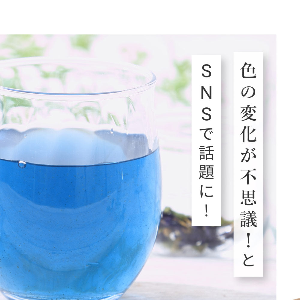 バタフライピー 無農薬 茶葉 50g 2袋 京都お茶工場製造 ハーブティー ノンカフェイン 無着色 無香料無農薬 青いお茶 青い花 蝶豆花茶 映え タイ ブルー ハーバルティー アントシアニンが豊富 エイジングケア 美容 健康 天然色素 オーガニック