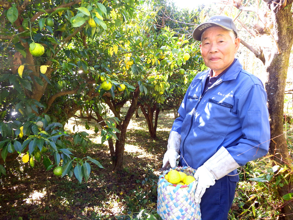 無添加・無香料　Concentrated Yuzu drink ［高知の柚子ドリンク］6倍希釈