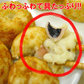たこ焼き 訳あり 国内加工品 タコヤキ 蛸 おやつ ふわふわ パーティー 業務用 たっぷり2kg 約100個入 送料無料 セール