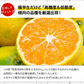 小玉 みかん 送料無料 訳あり みかん 小粒 1.5kg 家庭用 箱買い 果物 小粒 熊本 極早生 柑橘 九州 訳アリ だけど 小玉 で 甘い 蜜柑 わけあり 《9月中旬-9月末頃より発送予定》