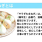 玉ねぎ サラダ玉ねぎ 10kg 送料無料 新玉 S～L 熊本県産 玉葱 たまねぎ 野菜