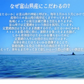 日本海産ほたるいか素干し 25g入り×3袋 メール便送料無料 魚系 おつまみ お試し いか イカ ホタルイカ素干し DM便発送 コロナ 応援 食品 訳あり お取り寄せグルメ 食品ロス 在庫処分