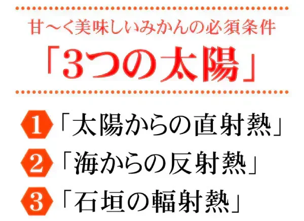【レビュー悪】有田みかん 10kg 和歌山産 ご家庭用