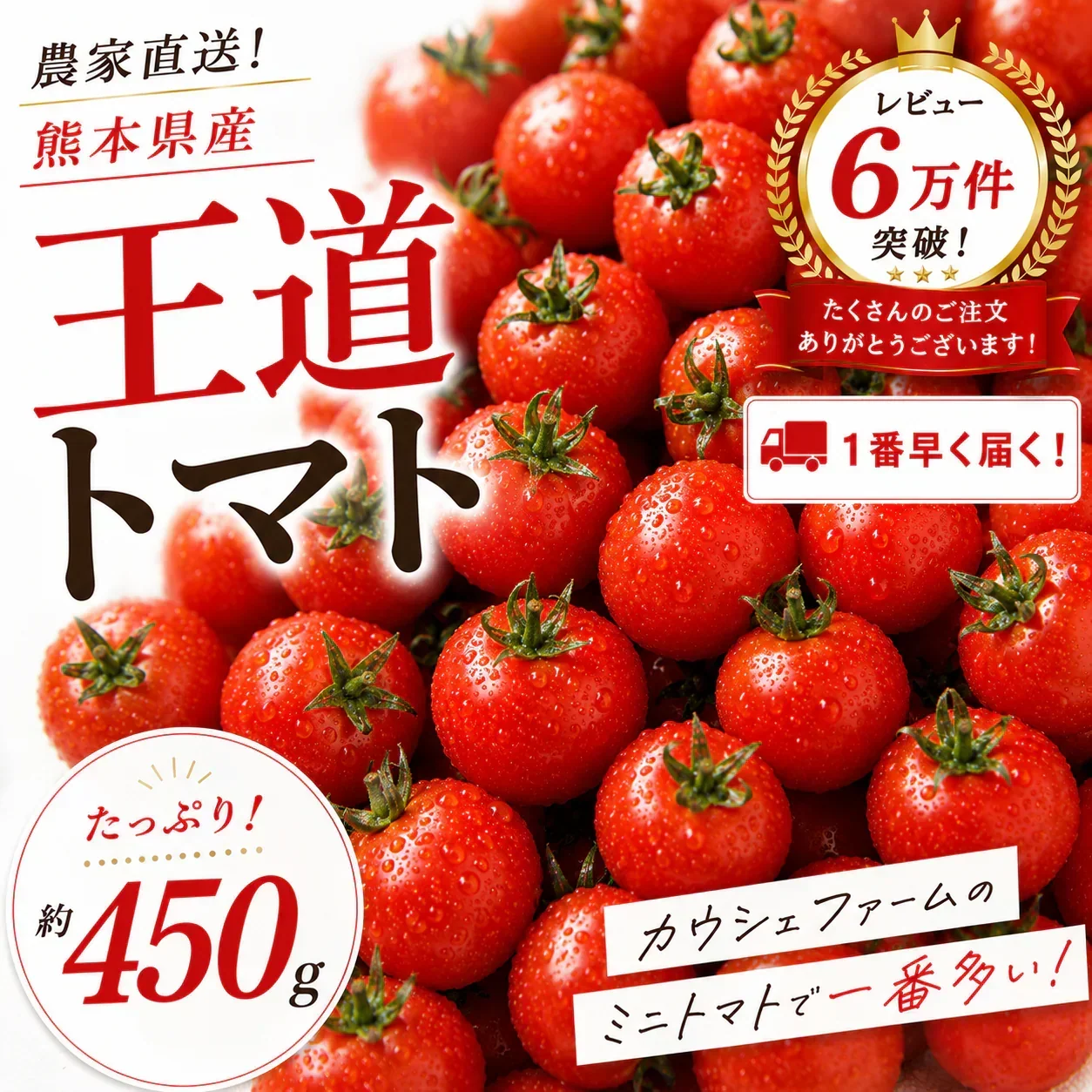 【１番早く届く！】【10月中旬頃〜12月末日までに発送】【予約】１番多い約450g！王道ミニトマト(280~300g+保証分150g)日本一の産地から農家直送 熊本県産 野菜 青果 フルーツ【カウシェファーム収穫対象商品】