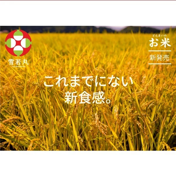 数量限定 米 お米 山形県産 雪若丸 2合300g 2年連続特A評価 食品 お試し お取り寄せ グルメ 特産品 通販 産直 送料無料 メール便