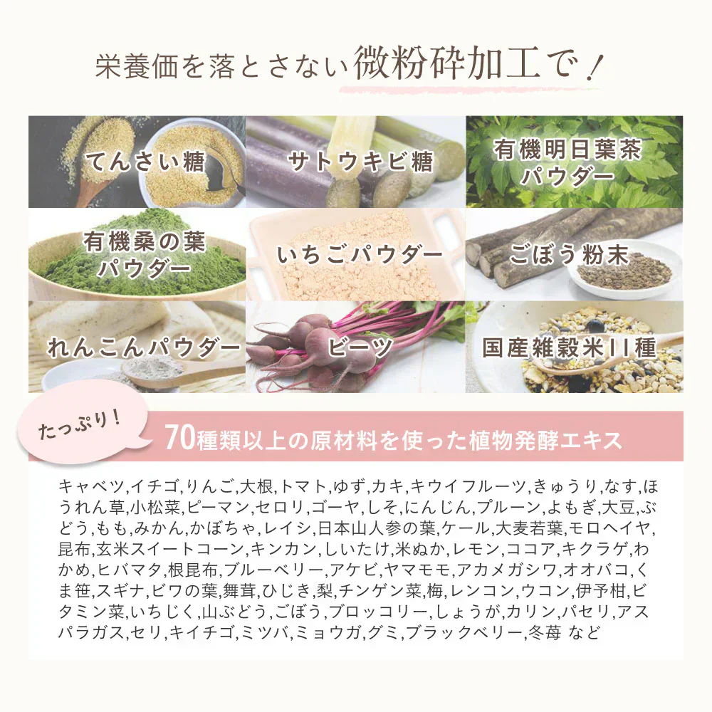 大地のめぐみ素美人 ソイプロテイン まるごといちご味 純国産 完全食 無添加  250g 賞味期限：2024年8月25日 カウシェ限定 ｜ オーガライフ