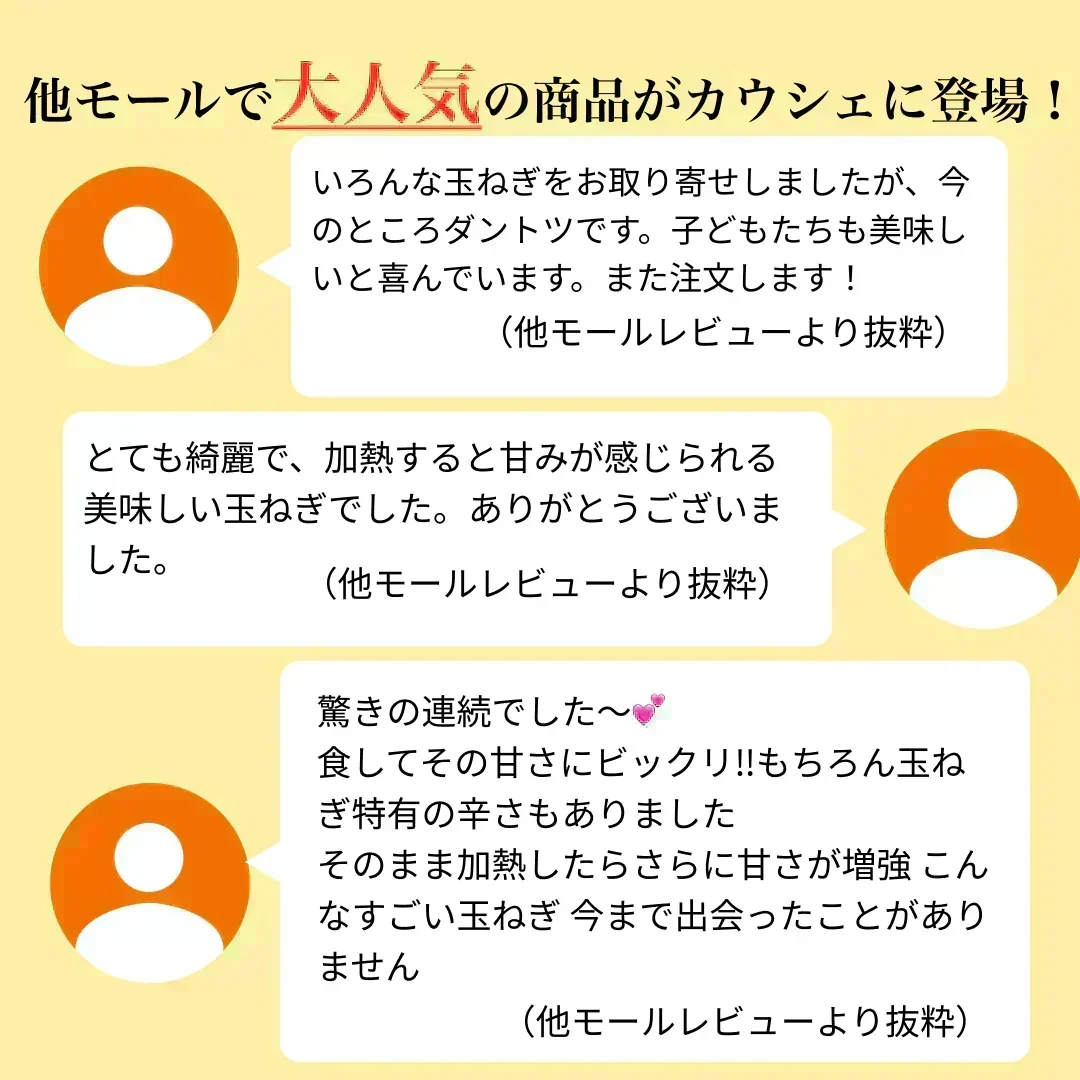 【訳あり】(塩栽培)淡路島産ソルティ玉ねぎ10キロ　美味しいさ甘さグー