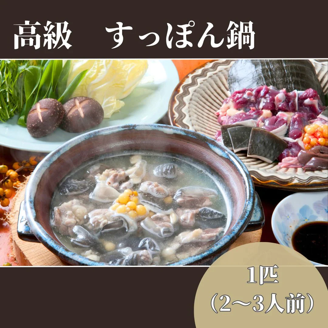 【送料無料】鍋用★活すっぽん　レシピ付　1匹分 スッポン　コラーゲン　滋養強壮