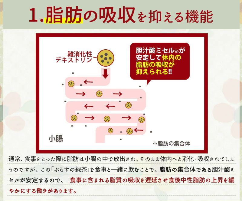 ぷらすの緑茶 500mlPET×48本[24本×2箱][賞味期限：1ヶ月以上]【1〜2営業日以内に出荷】［送料無料］お茶 緑茶 機能性表示食品 体脂肪 血糖値 整腸 ダイエット オススメ まとめ買い 抹茶 オリジナル