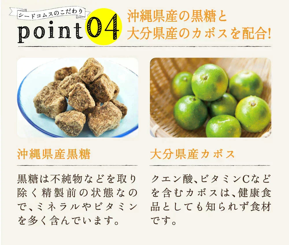 しょうが美人 ペースト 《1箱31包入り》 長崎県産しょうが使用 化学調味料　着色料保存料香料全て一切不使用　かぼす 黒糖 生姜 冷え ジンジャー シロップ エール ドリンク ダイエット ゼリー