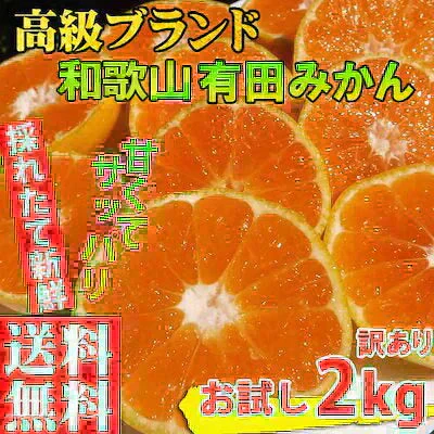(10月下旬頃から順次発送の予約販売) みかん 2キロ 和歌山県 有田産 有田みかん