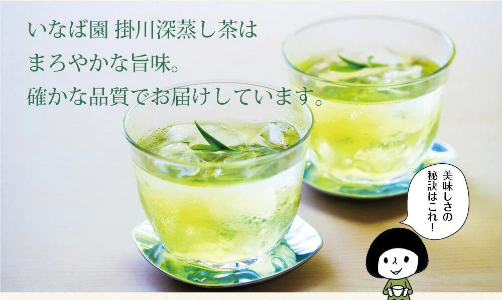 【2個セット】日本橋いなば園 静岡深蒸し茶 掛川茶 100g ネコポス メール便送料無料