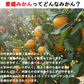 【最安値挑戦祭】みかん 訳あり 送料無料 5kg B品 愛媛 みかん 温州みかん ミカン 蜜柑 安い 甘い 箱買い 産地直送 愛媛県産 YDF-001