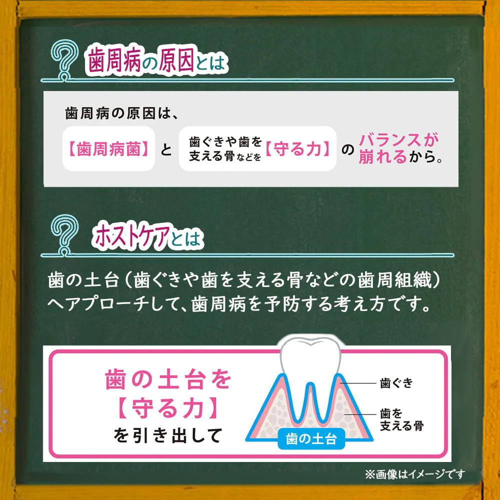 ライオン DENT システマ ハグキプラスPRO (Haguki Plus PRO) 1本(19g)お試しサイズ【試供品】【メール便送料無料】