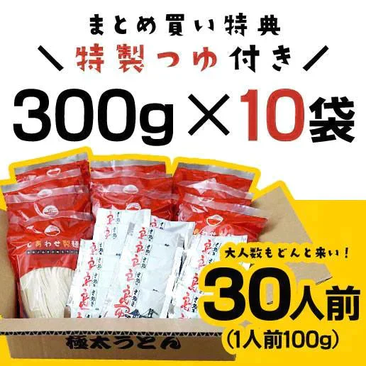 大容量 まとめ買い 3kg(300gx10袋）本場讃岐純生うどん 約30人前 製造直売 送料無料 特製つゆ付き しあわせ製麺 しあわせうどん