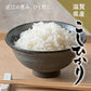 米 5kg 雪若丸 精米 山形県産 送料無料 令和6年産 ギフト 単一原料米 ブランド米 こめ コメ 白米 産地直送 kkb-005